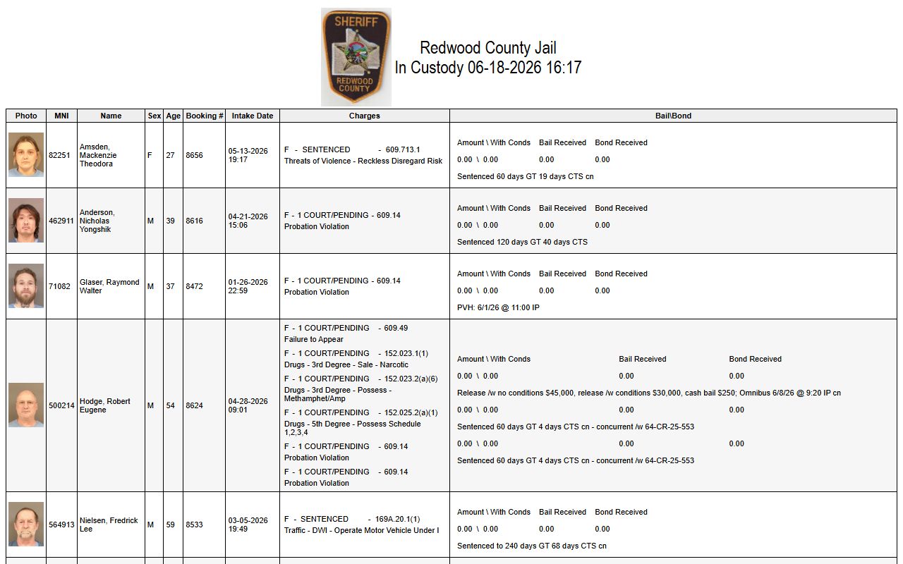 Redwood County jail roster inmate search fields